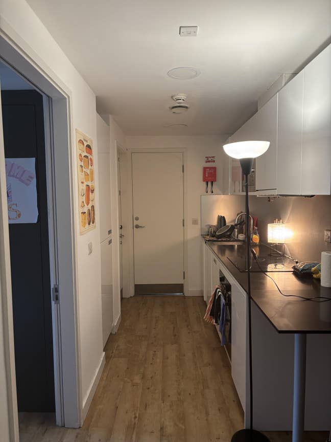 Double student accommodation - UCL Postgrad Main Photo