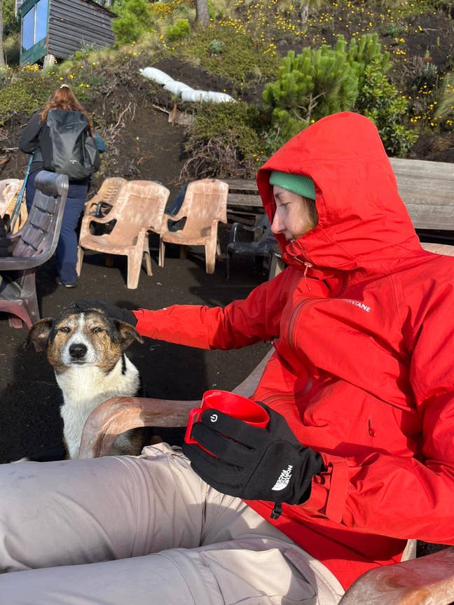 Freelance creative looking for short term room Main Photo