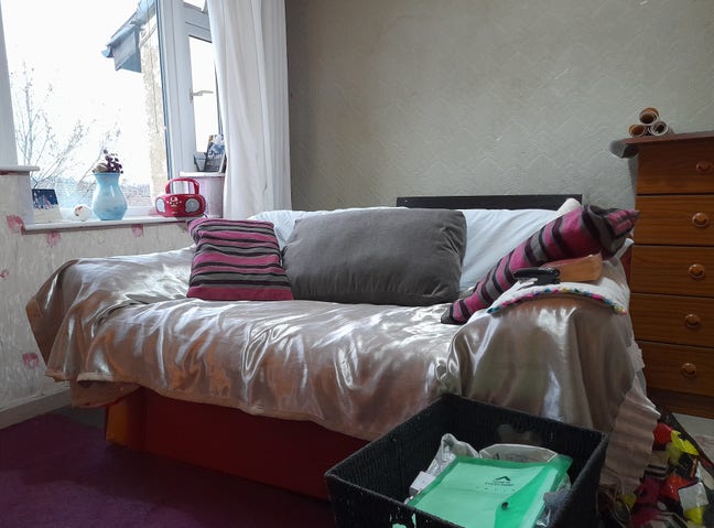  February  Main Photo