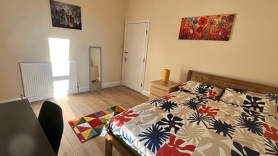 Double room in lovely  house all bills inc Main Photo
