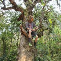 Professional Male seeks a single or double room Main Photo