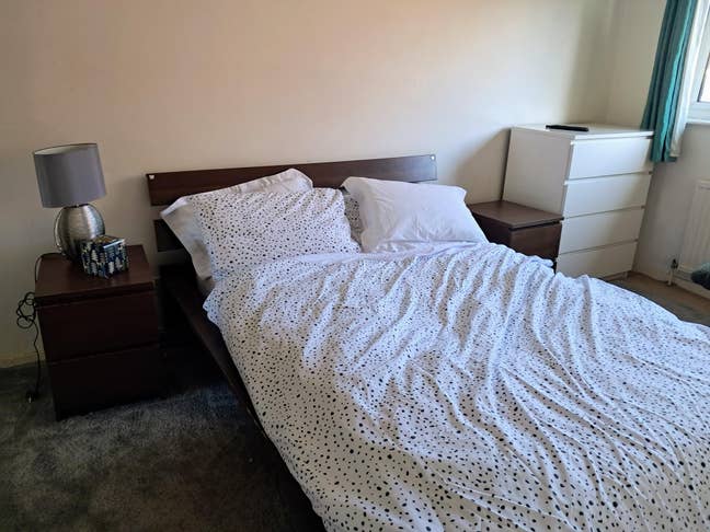 Double Room Available for a responsible animal lo. Main Photo