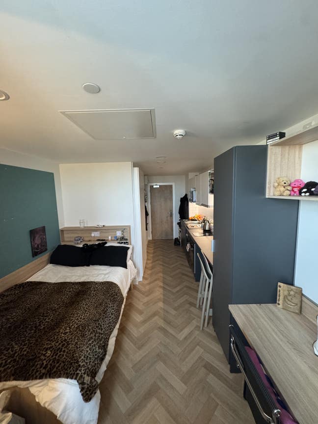 Room to rent Main Photo