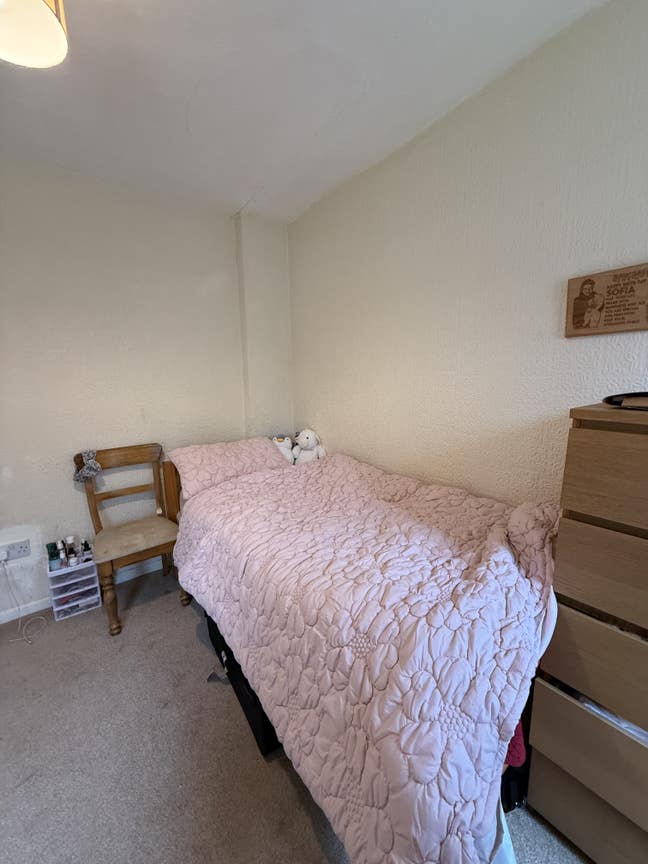 Single room for female available from 15 January  Main Photo