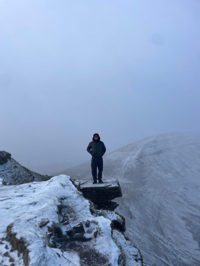 Aussie Looking for a Home! Main Photo