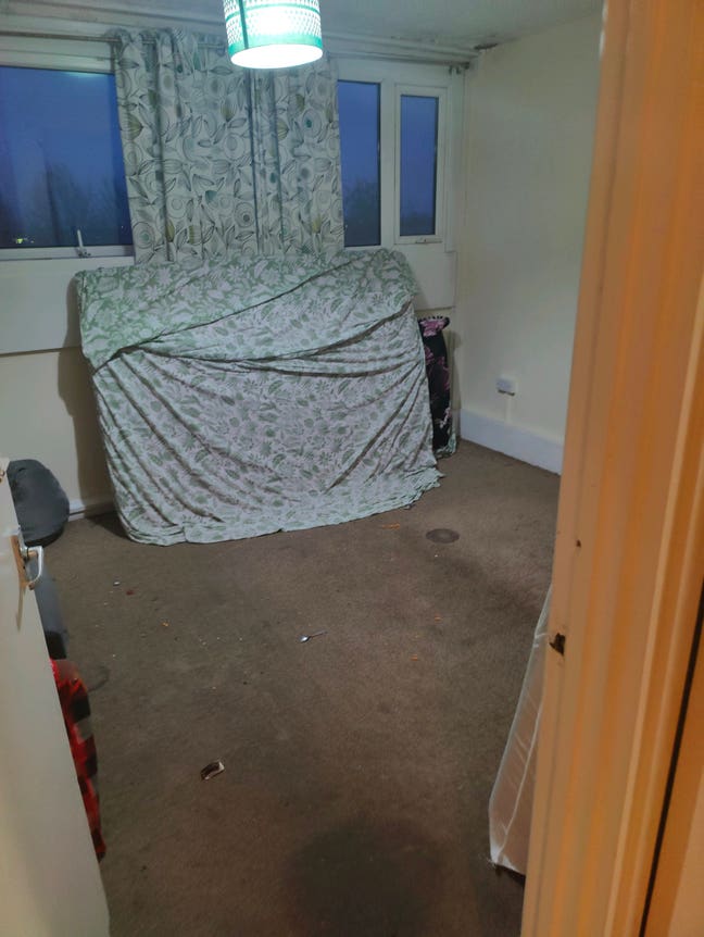 Looking for Flatmates Main Photo