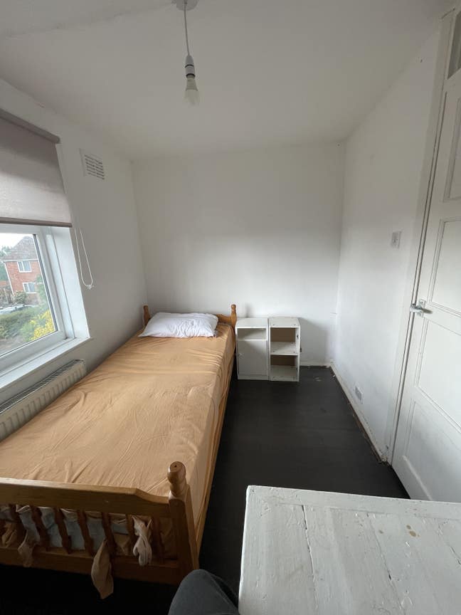 Clean room and friendly  home Main Photo