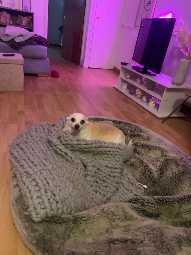 Looking to buddy up Main Photo