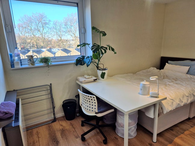 Zone1, Pimlico, for FEMALE, Big double Main Photo