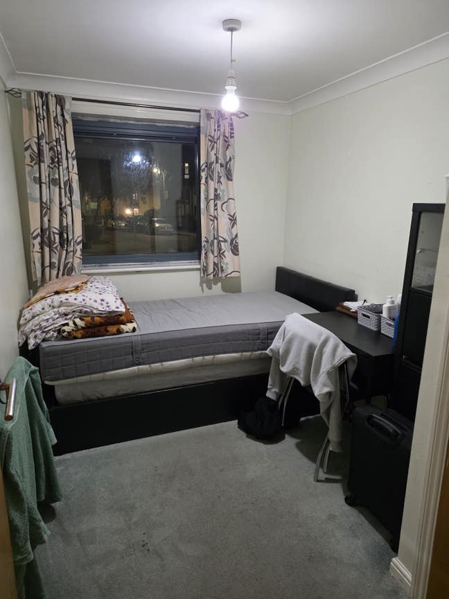 Looking for room mate  Main Photo