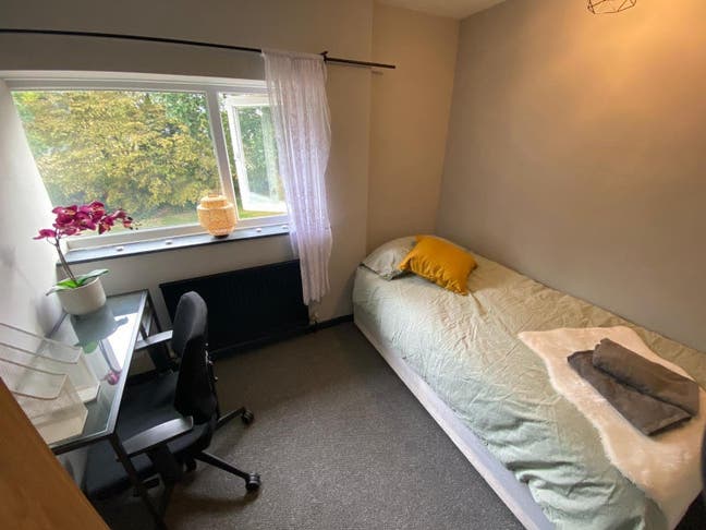 🏠Single Room with Garden in Hatfield Main Photo