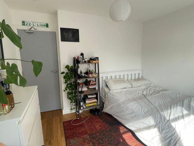 Double Room in 4 bed house - Bow Main Photo