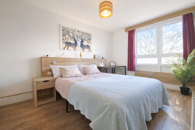 Modern Double in all-female house w. garden in E3 Main Photo