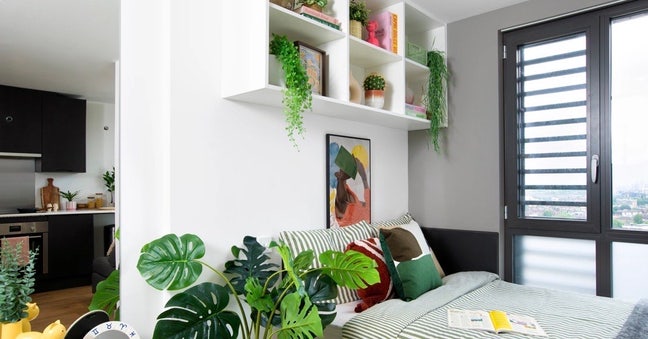 Incredible E1 Studio! Student accommodation! Main Photo