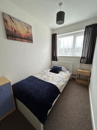 Great Rooms Modern House-All Bills Incl. Ready Now Main Photo