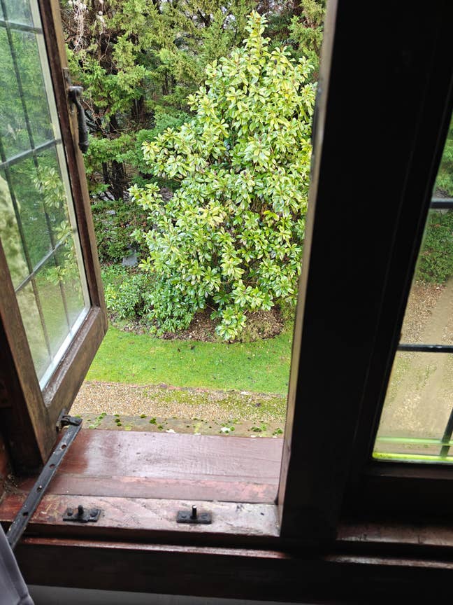 Large Double Room to Let with En-Suite Bathroom In Main Photo