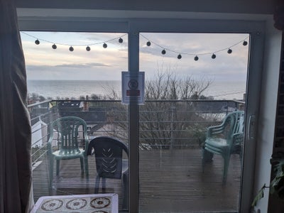 Student house brynmill need housemates urgently Main Photo