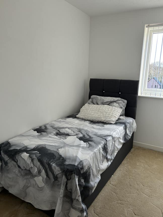 Cosy Blight Single Room Available. Main Photo