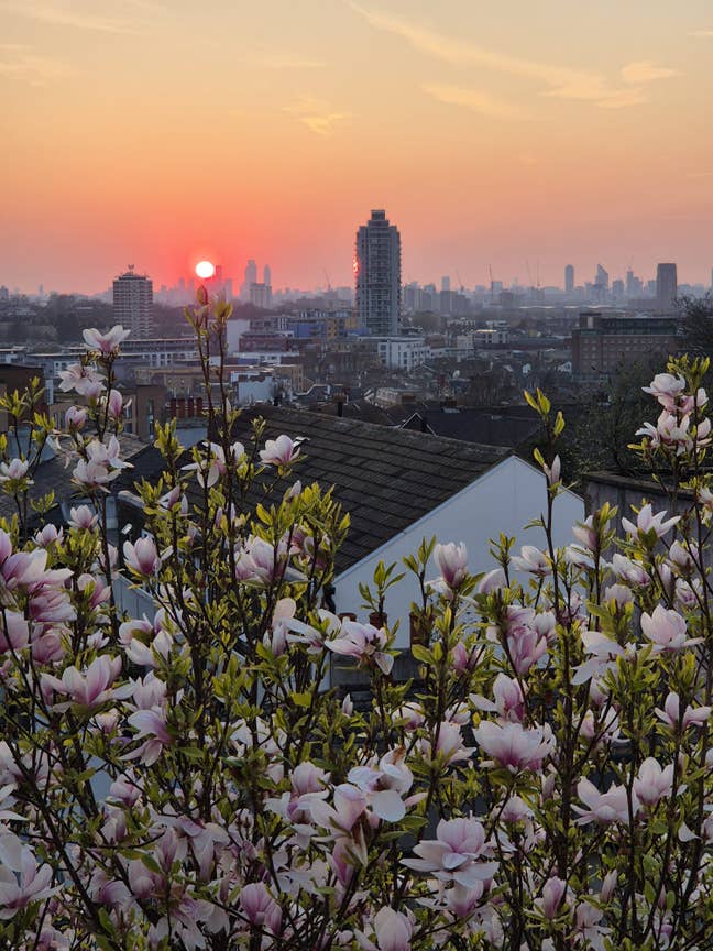 Beautiful double room close to Greenwich park  Main Photo