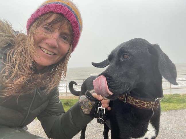 Seeking nourishing home/annexe or long housesit Main Photo