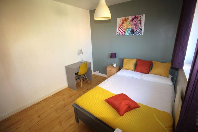 🛏️ Premium Double Room  Main Photo