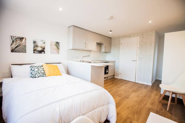 Aldershot new studio ensuite room kitchen garden Main Photo