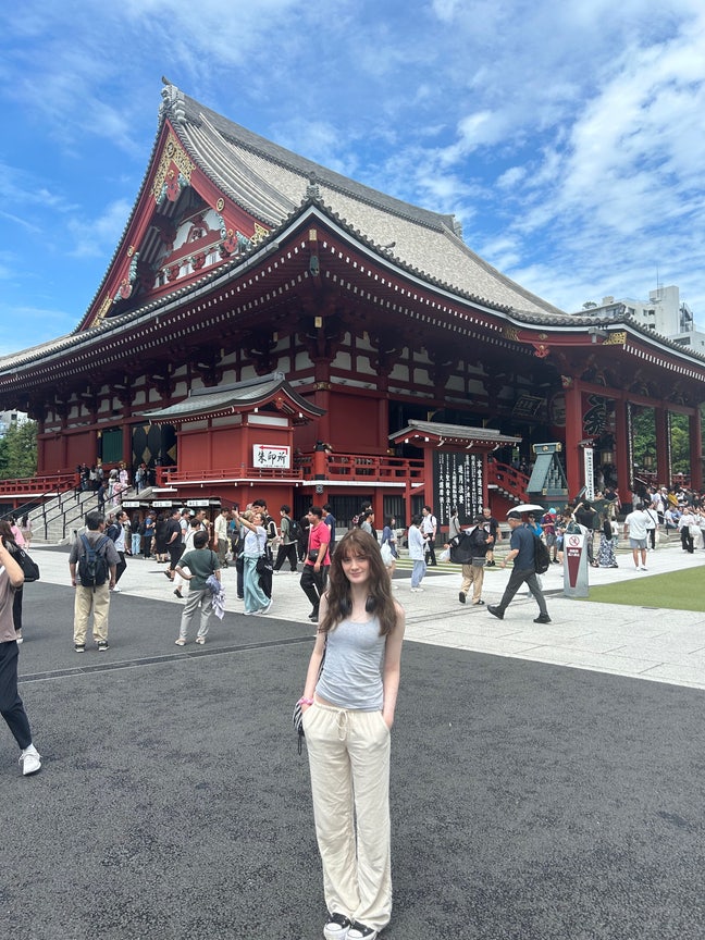 Looking for a flatshare in central/ north london Main Photo