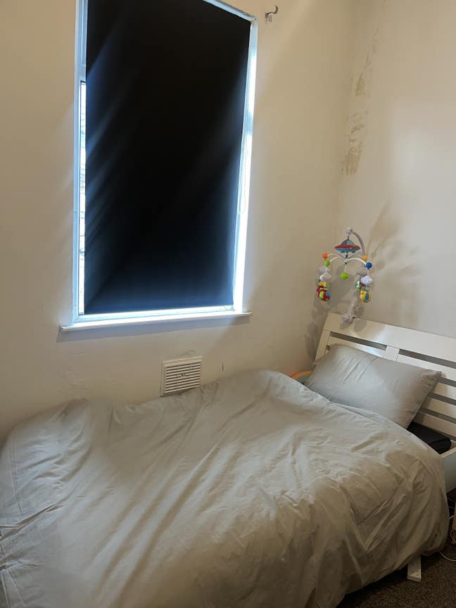 Single room available  Main Photo