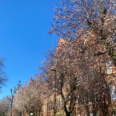 King size room in our beautiful 4 bed flat! Main Photo