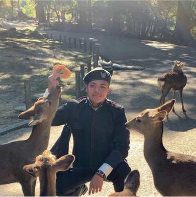 Professional Male seeks a single or double room Main Photo