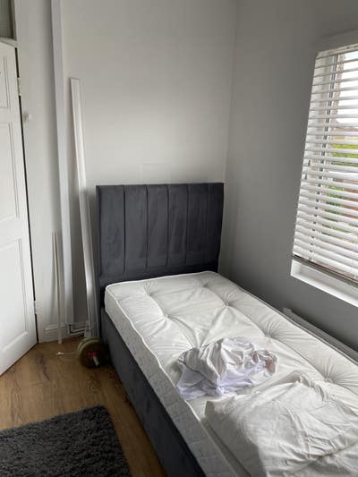 Room to let Main Photo