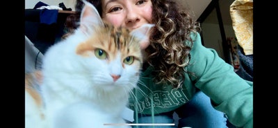 Professional with a cat looking for a flat Main Photo