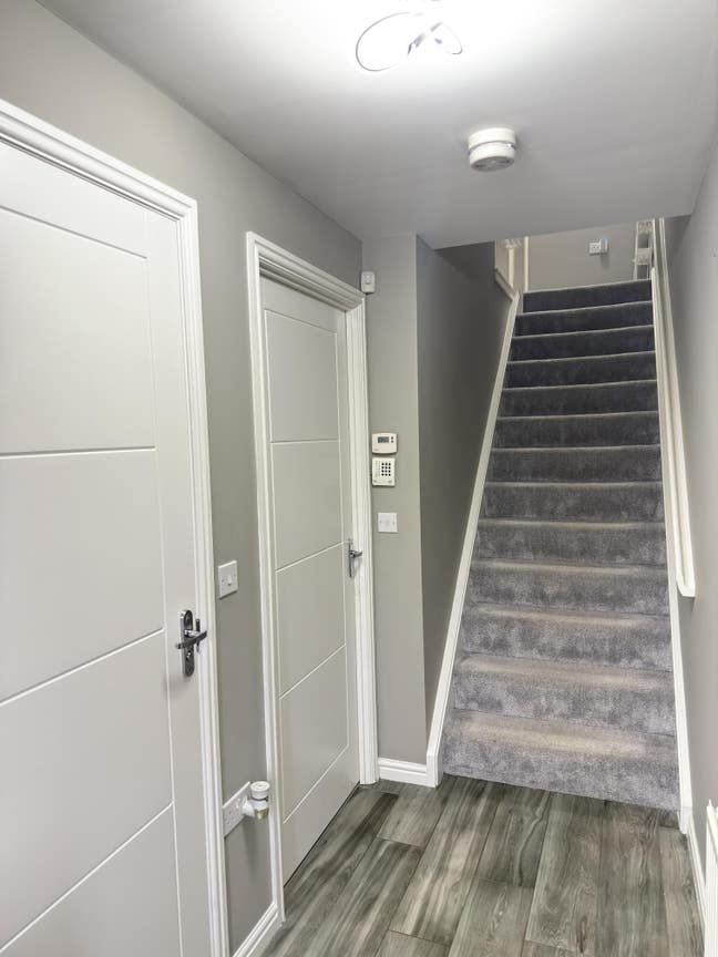 Nice Room in a Calm, Comfortable Home Main Photo