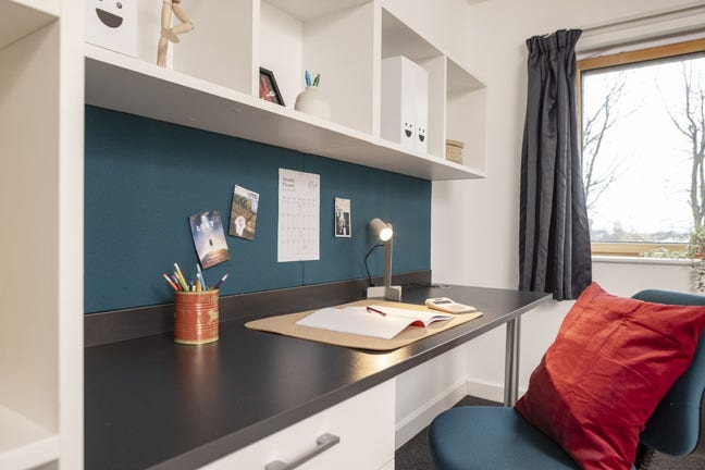 Room in Campus Living Village Main Photo