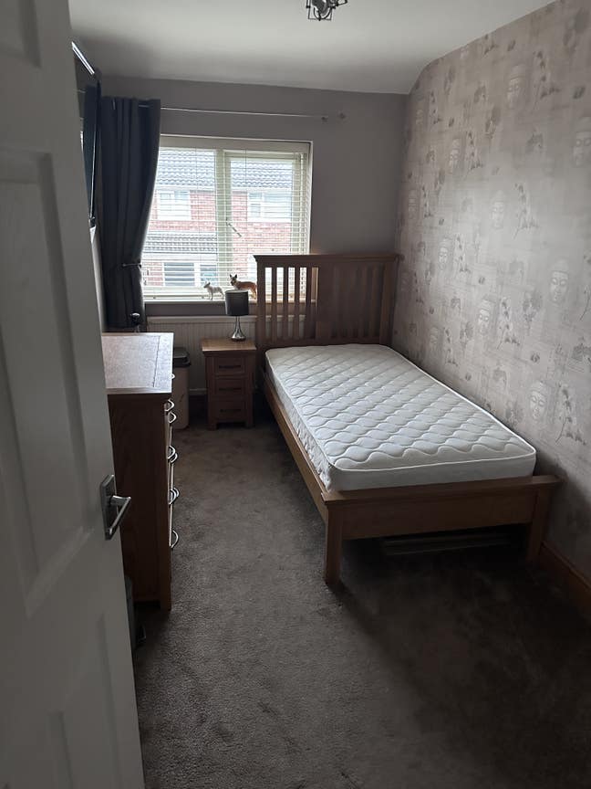 Single room  Main Photo