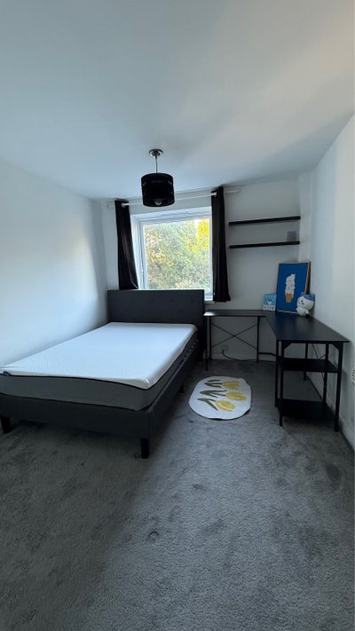 Bright double room in clean, quiet flat  Main Photo