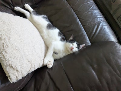 Friendly, respectful person looking for a peaceful Main Photo