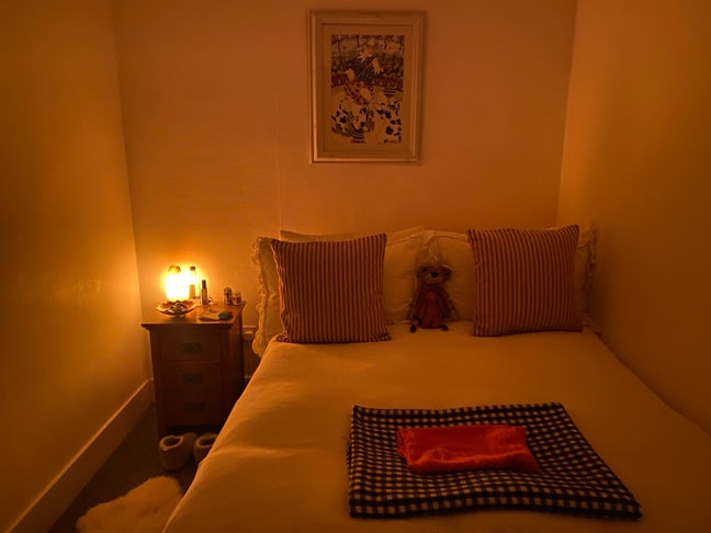 Bright double room in cosy riverside home Main Photo