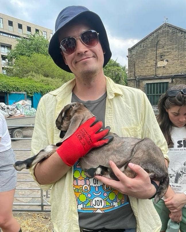 Easy-going Kiwi looking for a chill home Main Photo