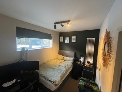 Modern Professional House Share+All Bills+Cleaner Main Photo