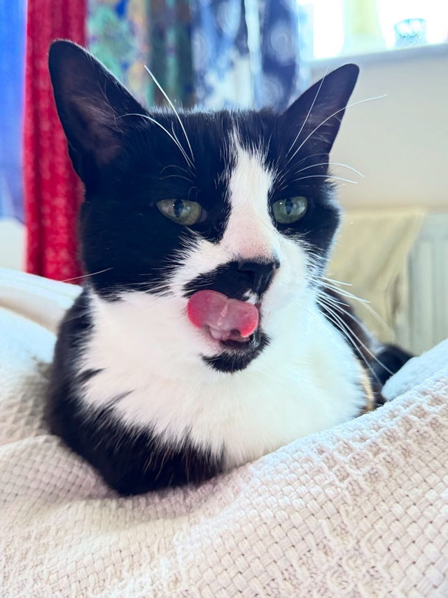 Sun-Soaked Snugness: Your Cozy Clapham Double Room Main Photo