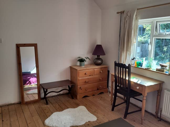 Double and single rooms available in veggie home Main Photo
