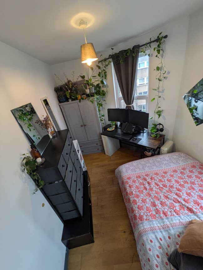 Bright Double Room in Friendly Flat- bills incl! Main Photo