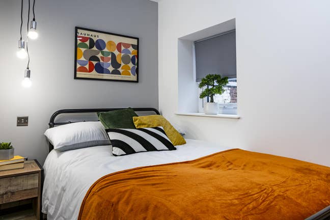 Premium Brand New Studios | All Bills Option | WS Main Photo