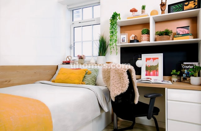 Subletting student apartment in central London Main Photo