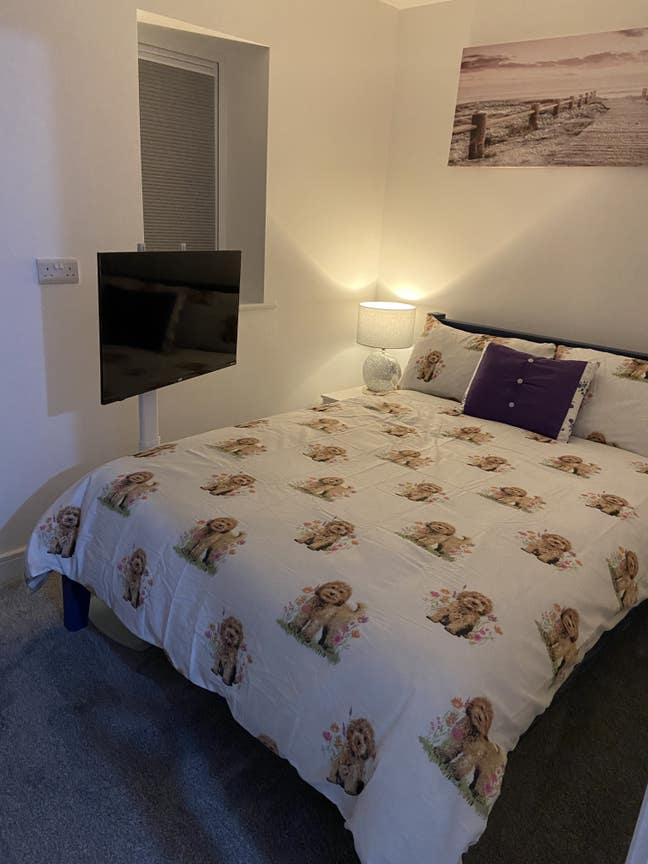 Double room with double bed, desk, TV, wardrobe Main Photo