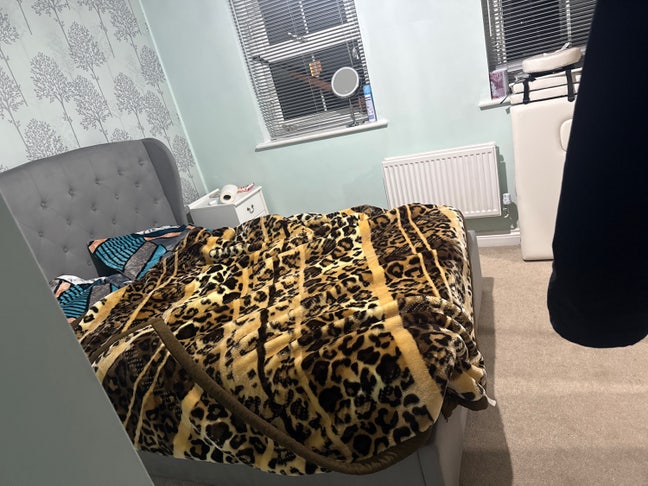 Single room for a girl /only for girl Main Photo