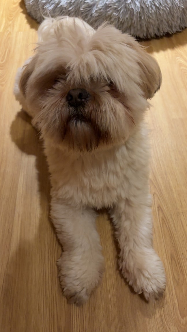 Lovely room in a 3 bedroom flat  Main Photo