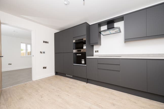 Ms Marci Sanati Main Photo