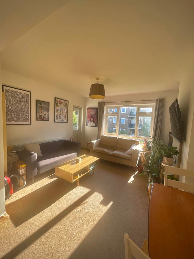 Bright Double Room In Queer Household 🏡 Main Photo